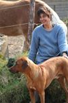Lonneke Schuller tot Peursum